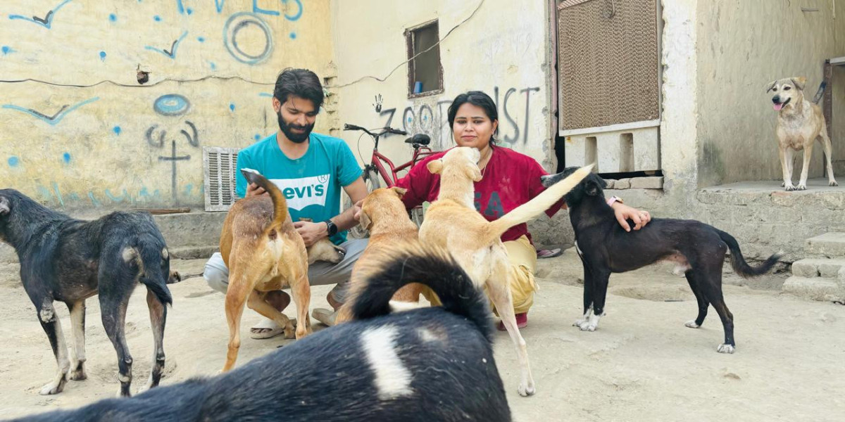 Article Picture
