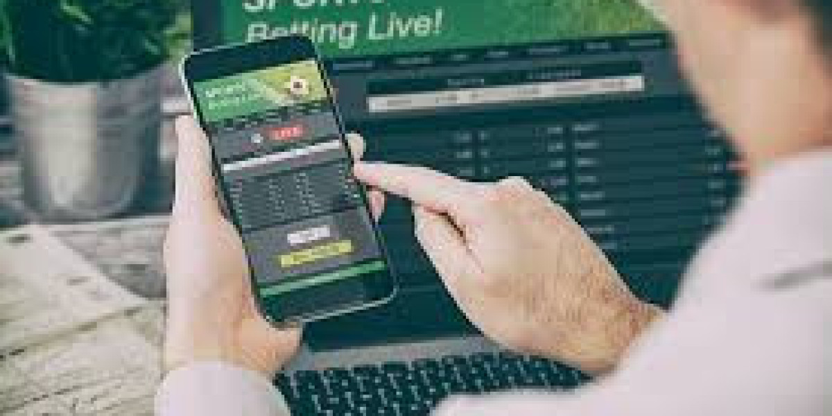 Play Exchange 365 vs Traditional Bookmakers Key Differences Explained